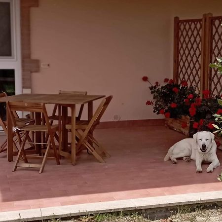 Agriturismo Lungo Albegna Manciano Kültér fotó