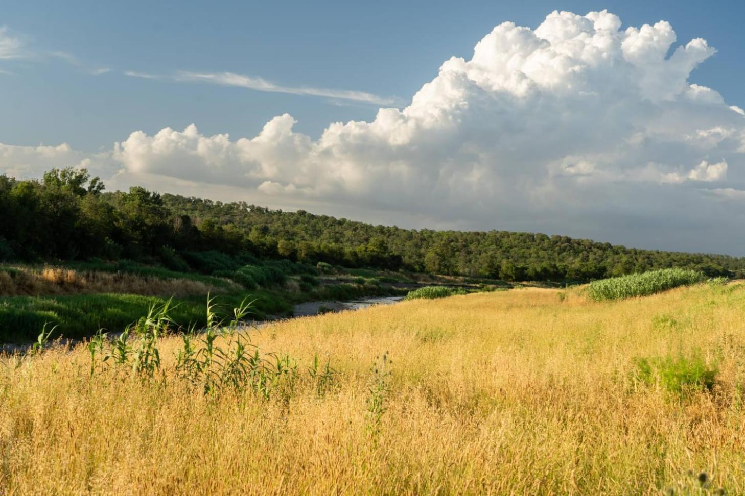Agriturismo Lungo Albegna Manciano Kültér fotó